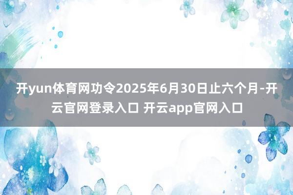 开yun体育网功令2025年6月30日止六个月-开云官网登录入口 开云app官网入口
