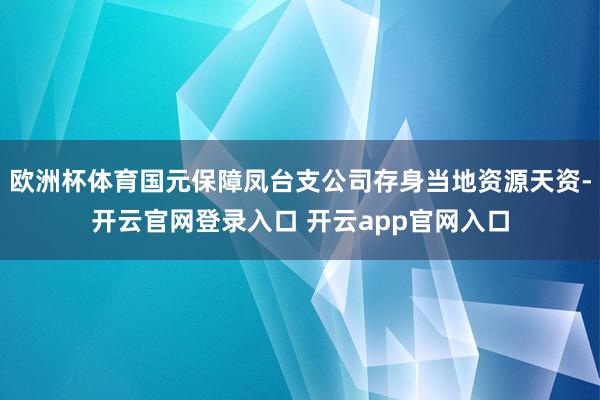 欧洲杯体育国元保障凤台支公司存身当地资源天资-开云官网登录入口 开云app官网入口