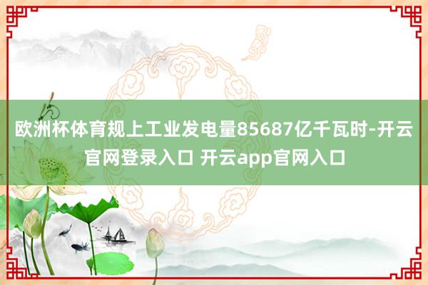 欧洲杯体育规上工业发电量85687亿千瓦时-开云官网登录入口 开云app官网入口