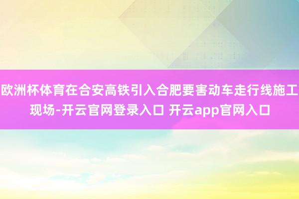 欧洲杯体育在合安高铁引入合肥要害动车走行线施工现场-开云官网登录入口 开云app官网入口